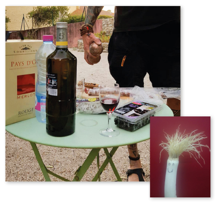 Parcours botanique de l'auberge de jeunesse HI Nîmes La Cigale - 27Andy